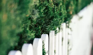 Image article constat de limite propriété par huissier