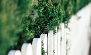 Image article constat de limite propriété par huissier